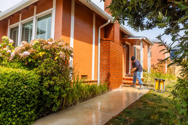 Best Power Washing Near Me  in Senoia, GA