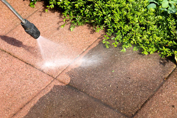 Best Residential Pressure Washing Services  in Senoia, GA